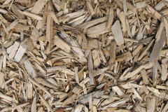 biomass boilers Peterlee