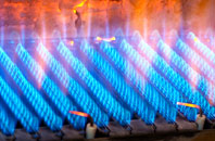 Peterlee gas fired boilers